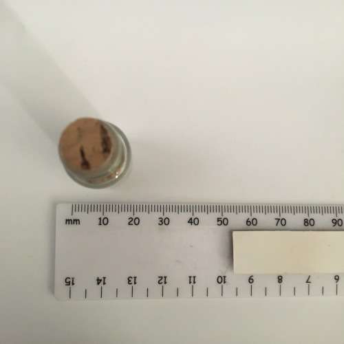 Miniature Glass Bottle of Seeds